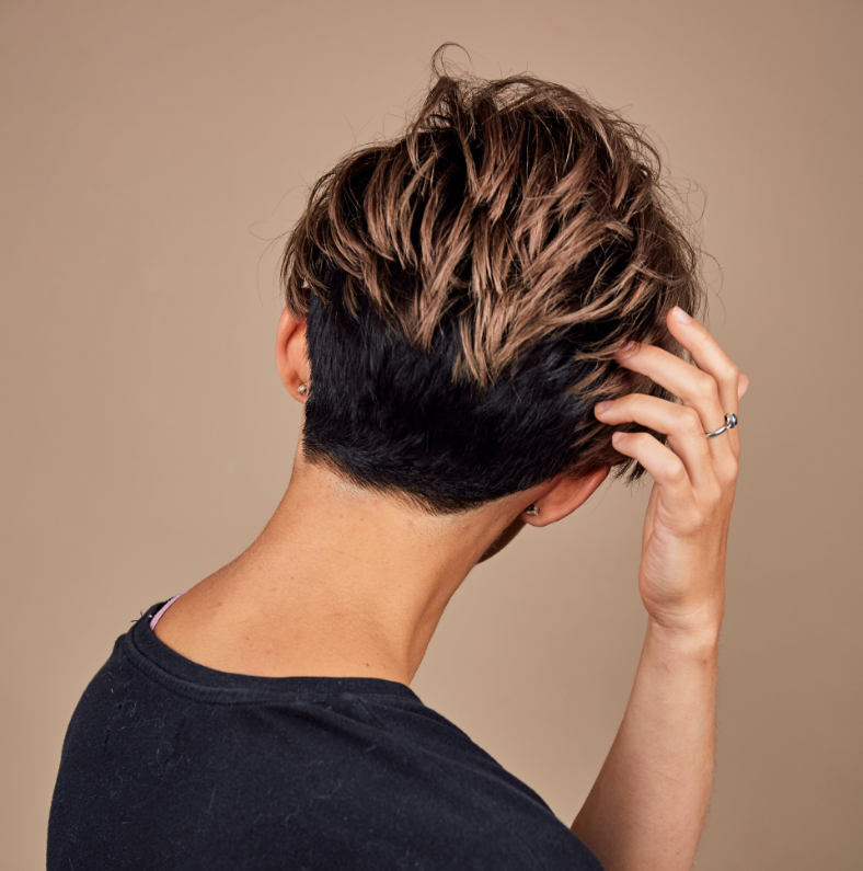  Hair-silicon-system